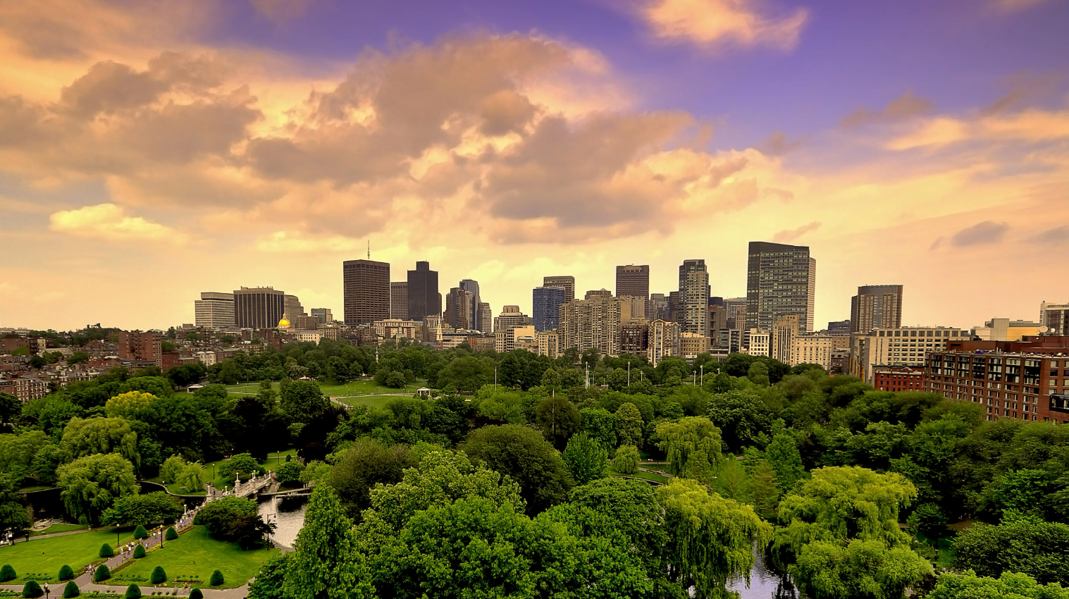 Sustainability Consulting