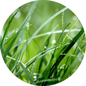 Cloud Computing Consultants