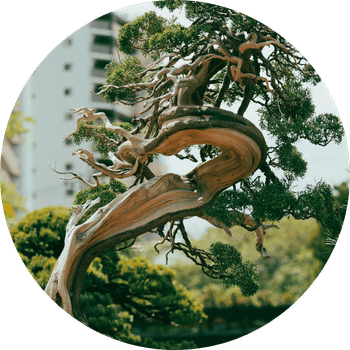 Sustainability Consulting