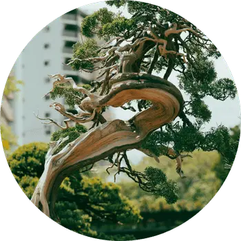 Sustainability Consulting